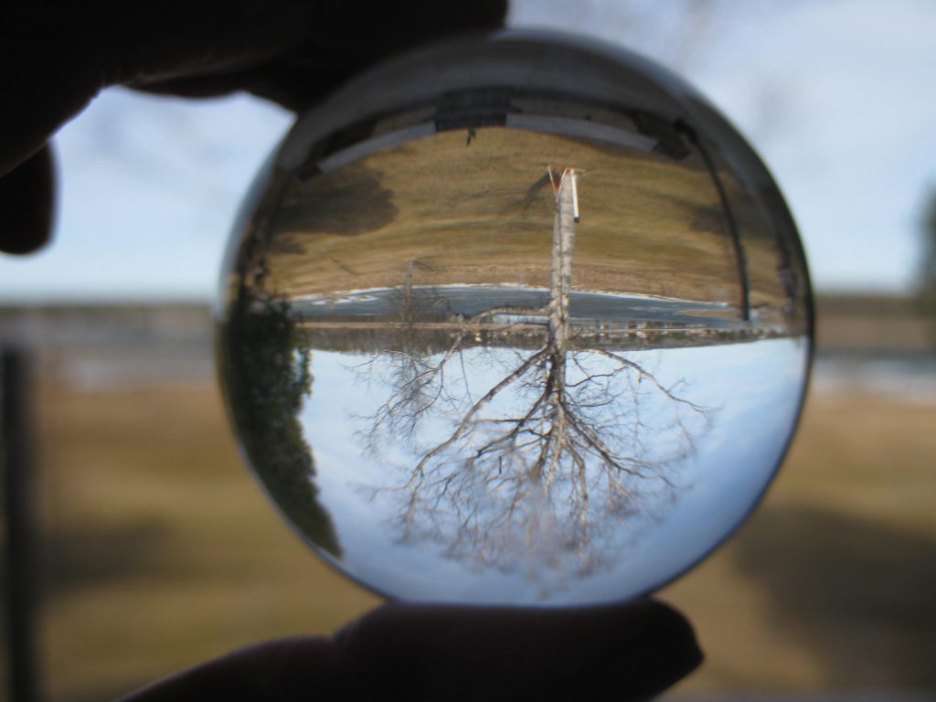 4436395036_df14890081_o