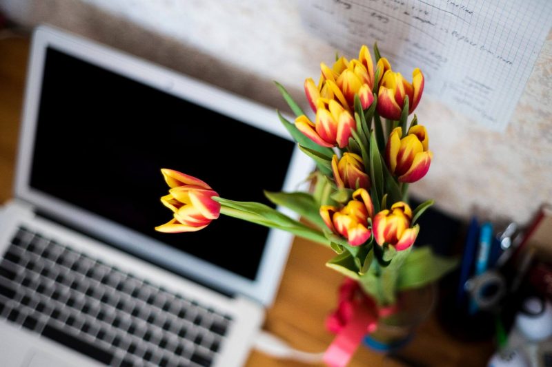 Vase with tulips next to laptop