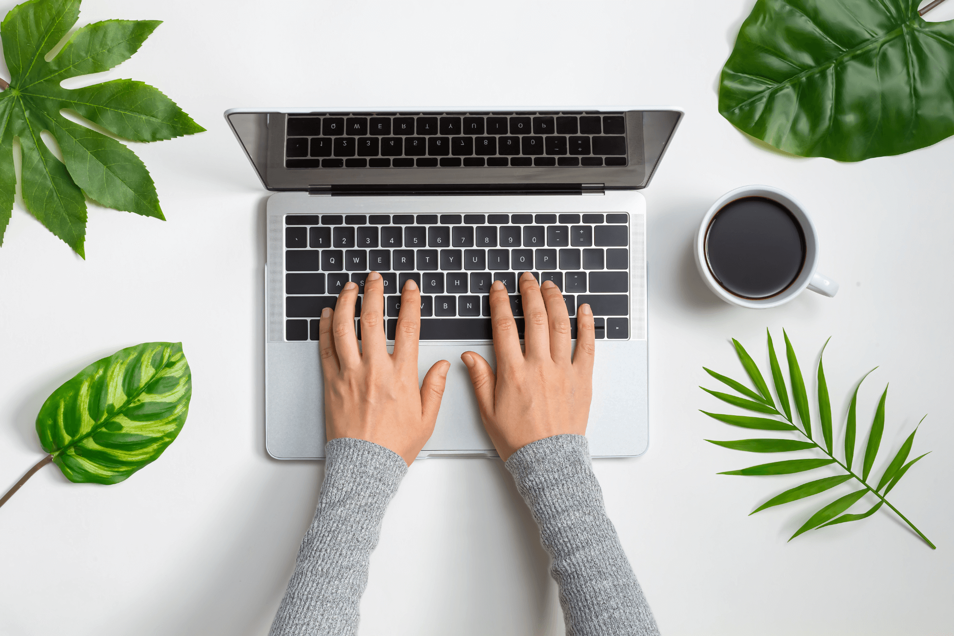 A person typing laptop computer surrounded by plants and a coffee mug