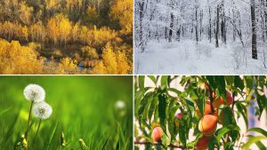 An image showing the 4 seasons in Canada representing seasonal businesses