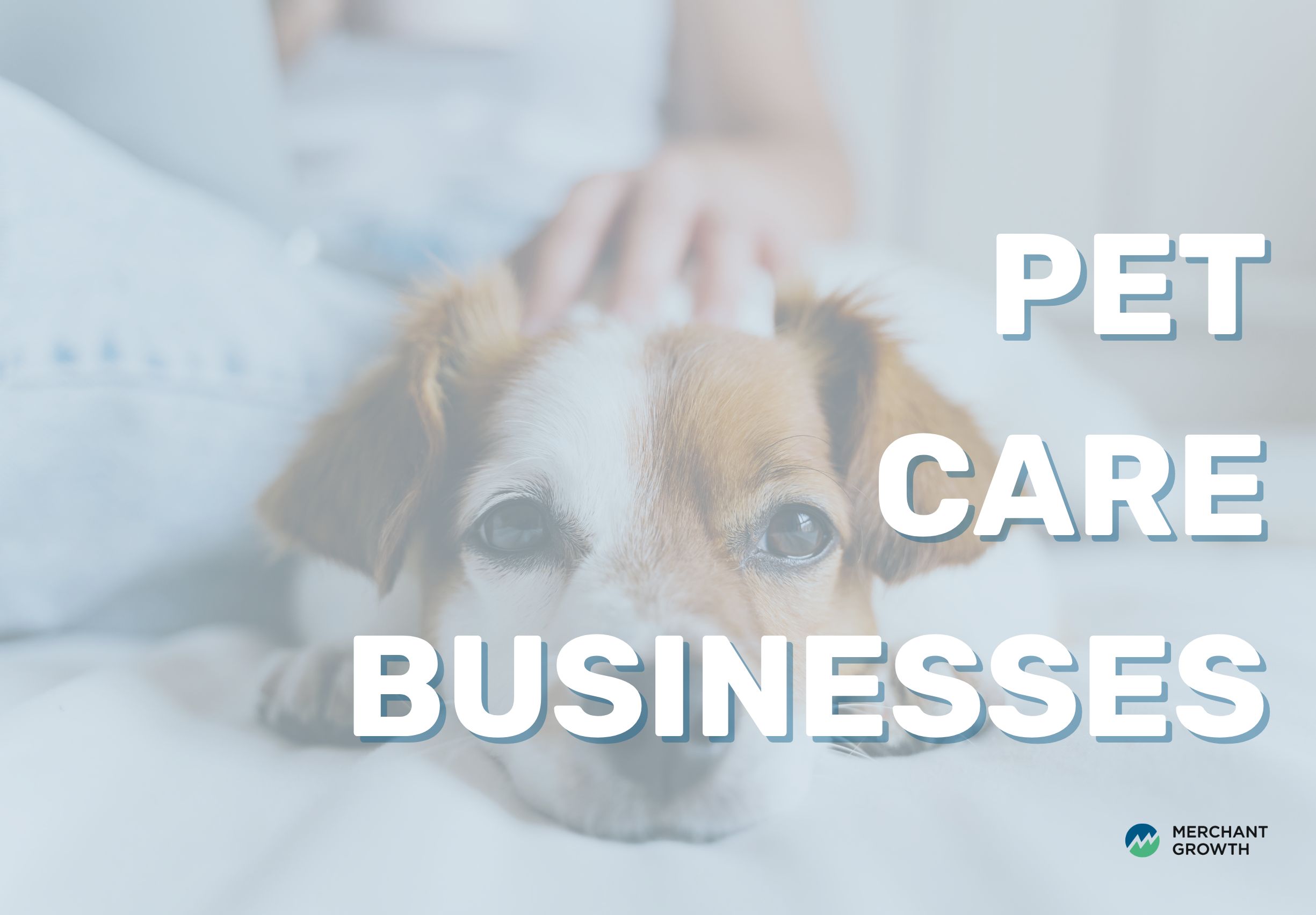 Pet care businesses title image