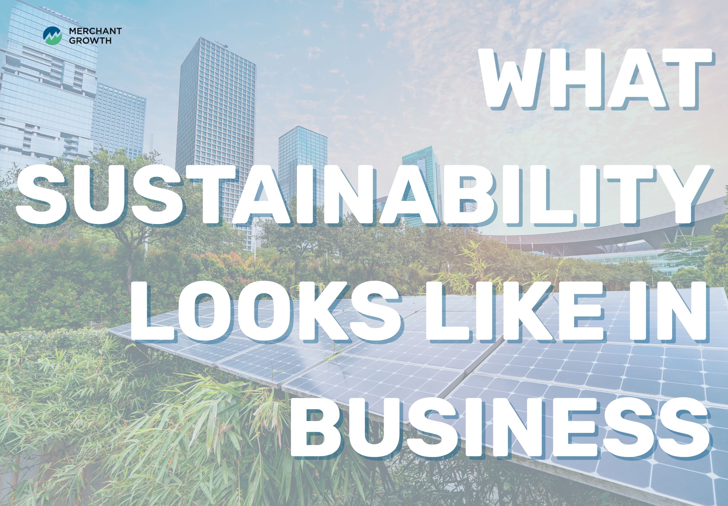 What does sustainability look like in business title image
